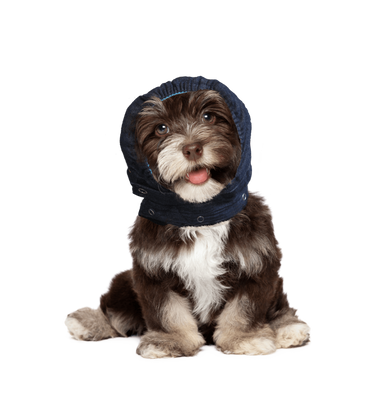 MPS Head Cover XSmall